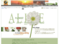 Taiwan Flowers-Welcome to Alice Florist Taipei-Taiwan send Flowers on line 