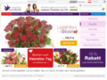 Details : Blumenversand - Blumen versenden weltweit auf EuroFlorist.at